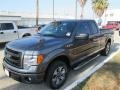 2014 Sterling Grey Ford F150 STX SuperCab  photo #1