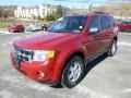 2011 Sangria Red Metallic Ford Escape XLT 4WD  photo #5