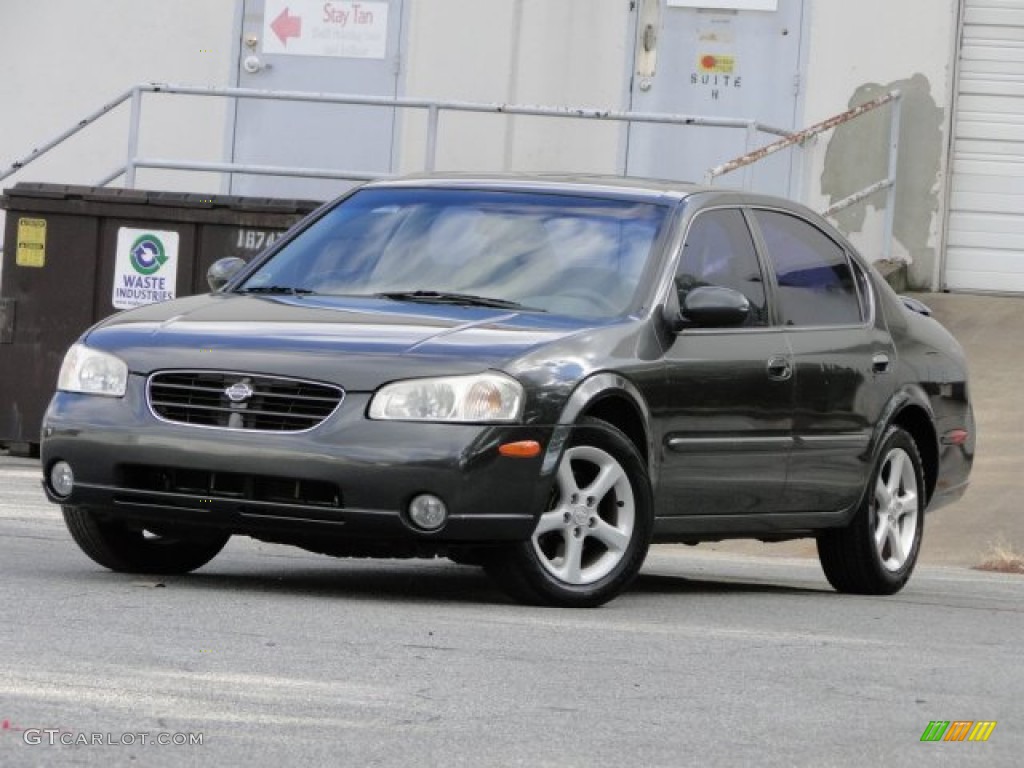 2000 Maxima GLE - Gray Lustre Metallic / Blond photo #1