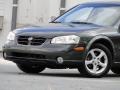 Gray Lustre Metallic - Maxima GLE Photo No. 22