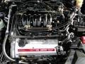 Gray Lustre Metallic - Maxima GLE Photo No. 24