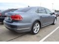 Platinum Gray Metallic - Passat TDI SE Photo No. 2