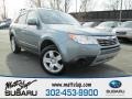 2009 Sage Green Metallic Subaru Forester 2.5 X Premium  photo #1