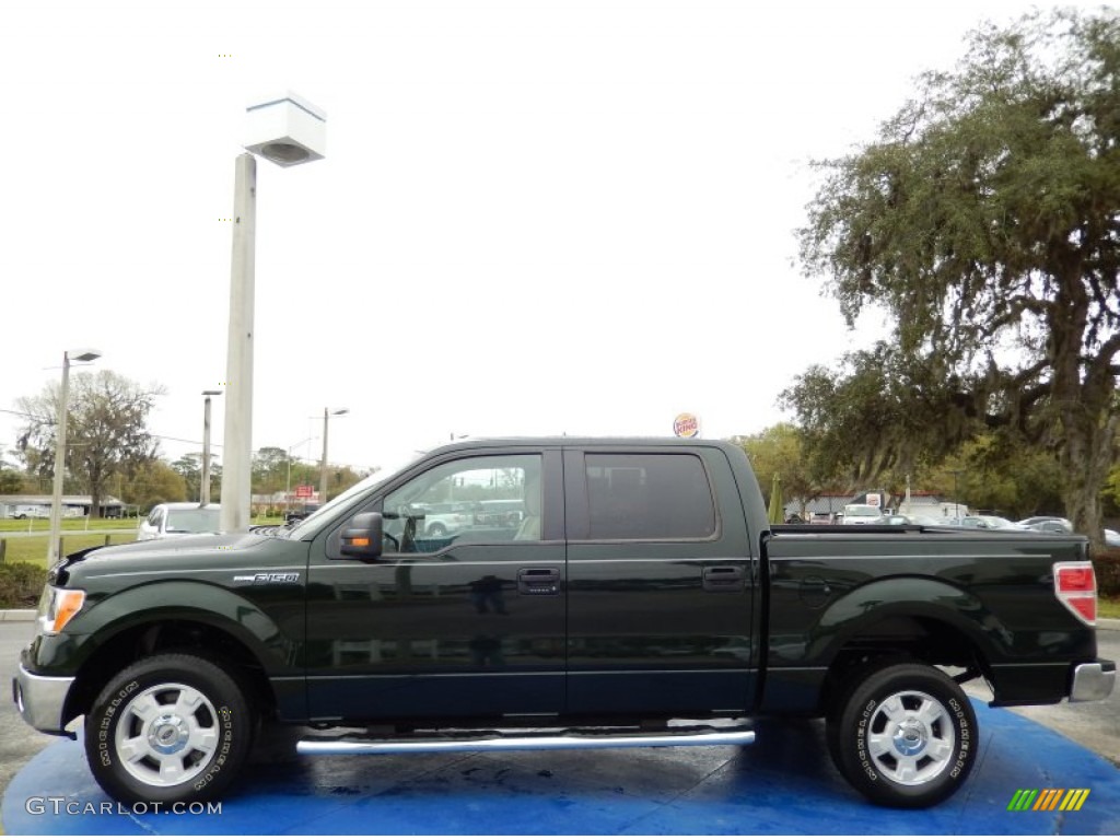 Green Gem Metallic 2012 Ford F150 XLT SuperCrew Exterior Photo #91237304