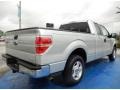 Ingot Silver Metallic - F150 XLT SuperCab Photo No. 6