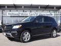 Black - ML 350 4Matic Photo No. 1