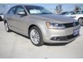 Moonrock Silver Metallic - Jetta TDI Sedan Photo No. 1
