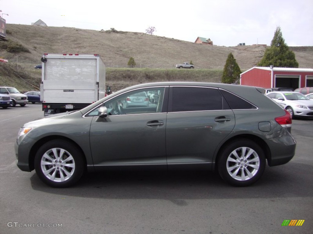 2013 Venza LE - Cypress Green Pearl / Ivory photo #4