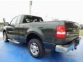 2006 Aspen Green Metallic Ford F150 XLT Regular Cab  photo #3