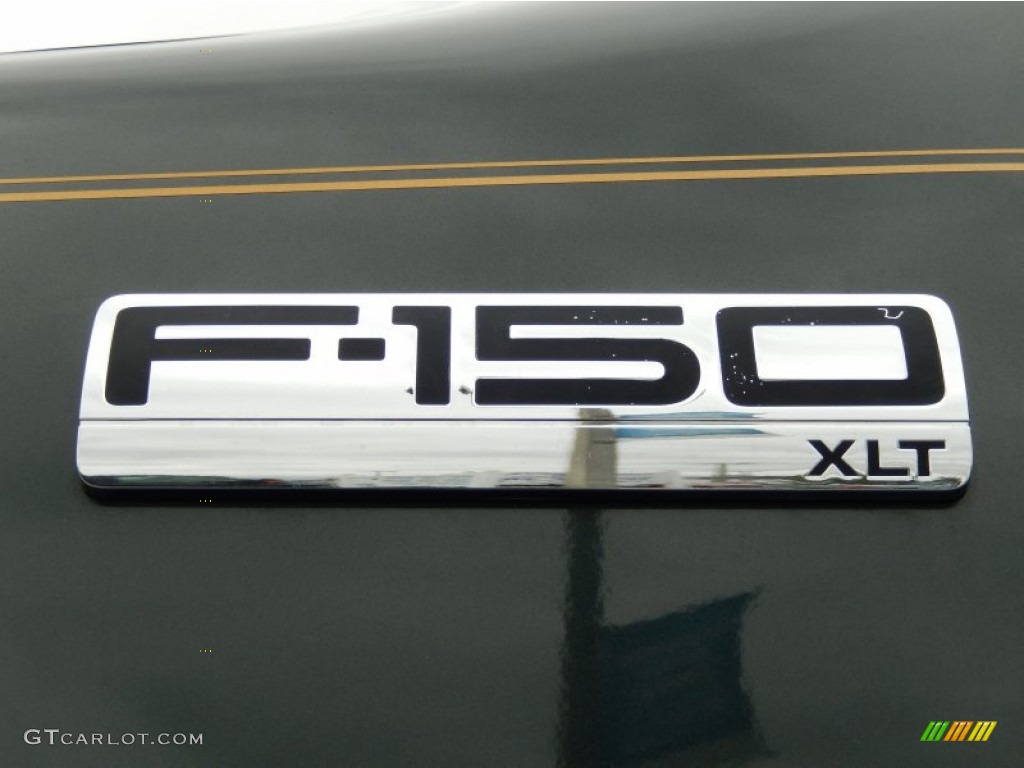 2006 F150 XLT Regular Cab - Aspen Green Metallic / Tan photo #10