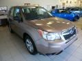 Burnished Bronze Metallic - Forester 2.5i Photo No. 6