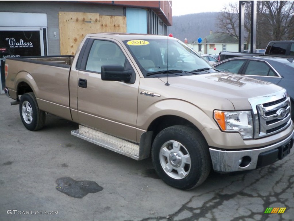 2012 F150 XLT Regular Cab - Pale Adobe Metallic / Steel Gray photo #1