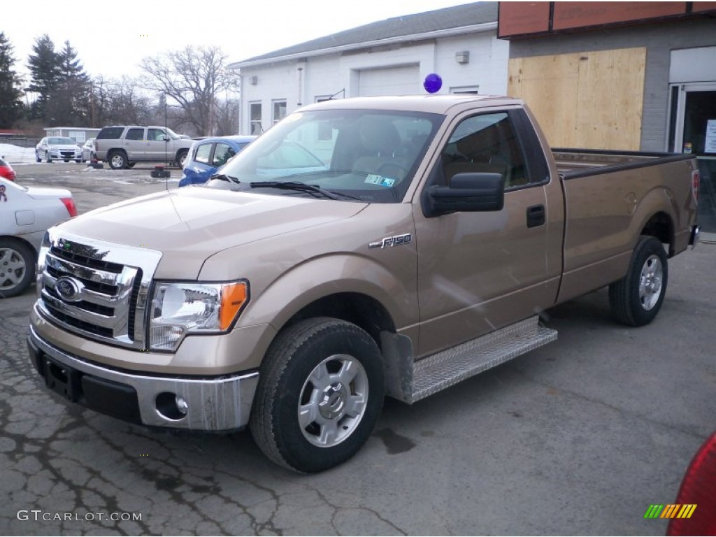 2012 F150 XLT Regular Cab - Pale Adobe Metallic / Steel Gray photo #2