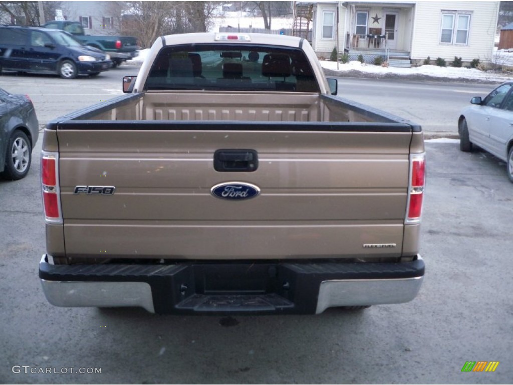 2012 F150 XLT Regular Cab - Pale Adobe Metallic / Steel Gray photo #6