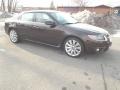 Java Brown Metallic - 9-5 Turbo6 XWD Sedan Photo No. 6