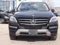 Black - ML 350 4Matic Photo No. 2