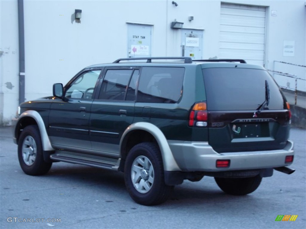 2001 Montero Sport XLS 4x4 - New Zealand Green Pearl / Gray photo #10