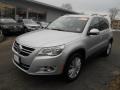 Reflex Silver Metallic - Tiguan SE Photo No. 3
