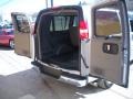 Silver Ice Metallic - Express 1500 Passenger LS AWD Photo No. 16