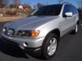Titanium Silver Metallic 2003 BMW X5 4.4i