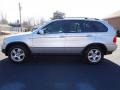 Titanium Silver Metallic - X5 4.4i Photo No. 2