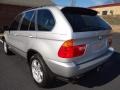 Titanium Silver Metallic - X5 4.4i Photo No. 3