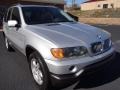 Titanium Silver Metallic - X5 4.4i Photo No. 7