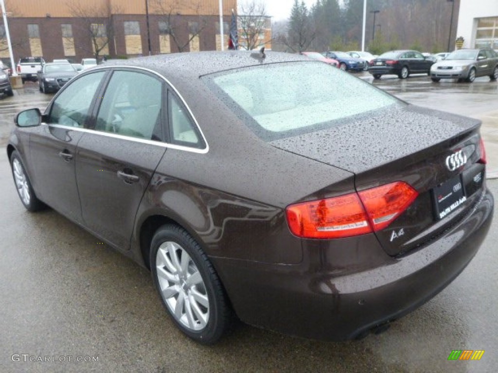 2011 A4 2.0T quattro Sedan - Teak Brown Metallic / Cardamom Beige photo #3