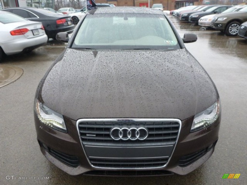 2011 A4 2.0T quattro Sedan - Teak Brown Metallic / Cardamom Beige photo #8