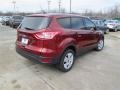 2014 Sunset Ford Escape S  photo #5