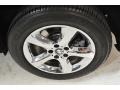 2008 BMW X5 3.0si Wheel and Tire Photo