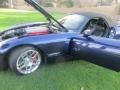 Viper Violet Pearlcoat - Viper SRT-10 Photo No. 3