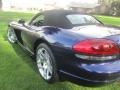 Viper Violet Pearlcoat - Viper SRT-10 Photo No. 7