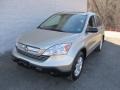 2009 Borrego Beige Metallic Honda CR-V EX 4WD  photo #9