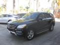 Black - ML 350 4Matic Photo No. 5
