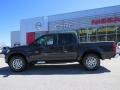 Night Armor - Frontier SV Crew Cab Photo No. 2