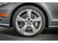 Palladium Silver Metallic - CLS 550 Coupe Photo No. 10