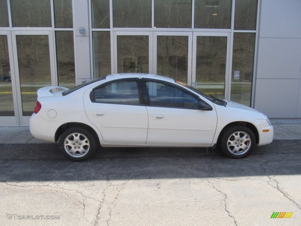 2005 Neon SXT - Stone White / Dark Slate Gray photo #2