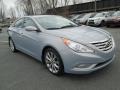 Iridescent Silver Blue Metallic - Sonata SE Photo No. 4