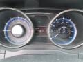Iridescent Silver Blue Metallic - Sonata SE Photo No. 28