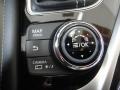 Venetian Ruby - Q 50 Hybrid Premium Photo No. 12