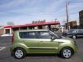 2013 Alien Green Kia Soul 1.6  photo #1