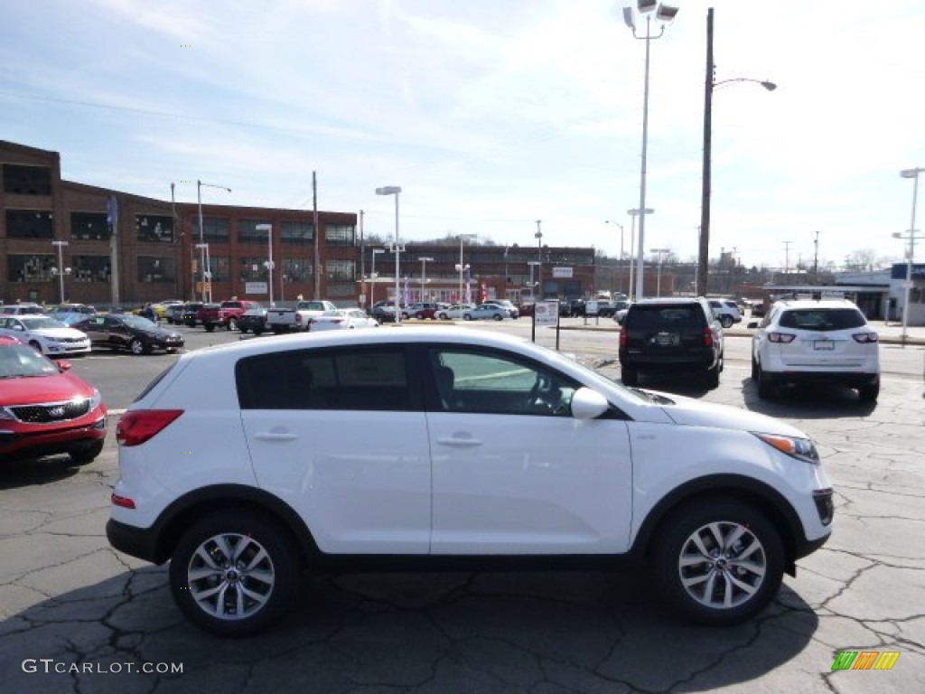 Clear White Kia Sportage