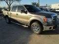 2014 Sterling Grey Ford F150 XLT SuperCrew  photo #5