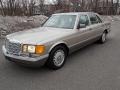 Smoke Silver Metallic 1990 Mercedes-Benz 420 SEL Sedan