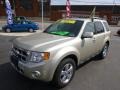Gold Leaf Metallic - Escape Limited V6 4WD Photo No. 4
