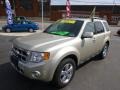 2011 Gold Leaf Metallic Ford Escape Limited V6 4WD  photo #4