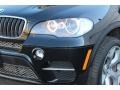 2011 Black Sapphire Metallic BMW X5 xDrive 35i  photo #29