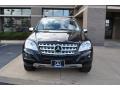 Black - ML 350 4Matic Photo No. 19