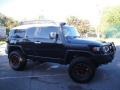 Black Diamond - FJ Cruiser 4WD Photo No. 3